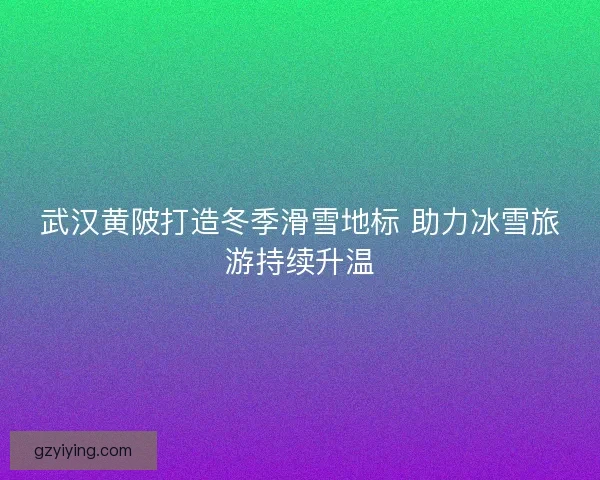 武汉黄陂打造冬季滑雪地标 助力冰雪旅游持续升温